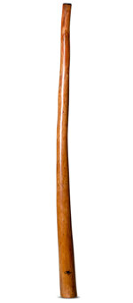 Tristan O'Meara Didgeridoo (TM320)